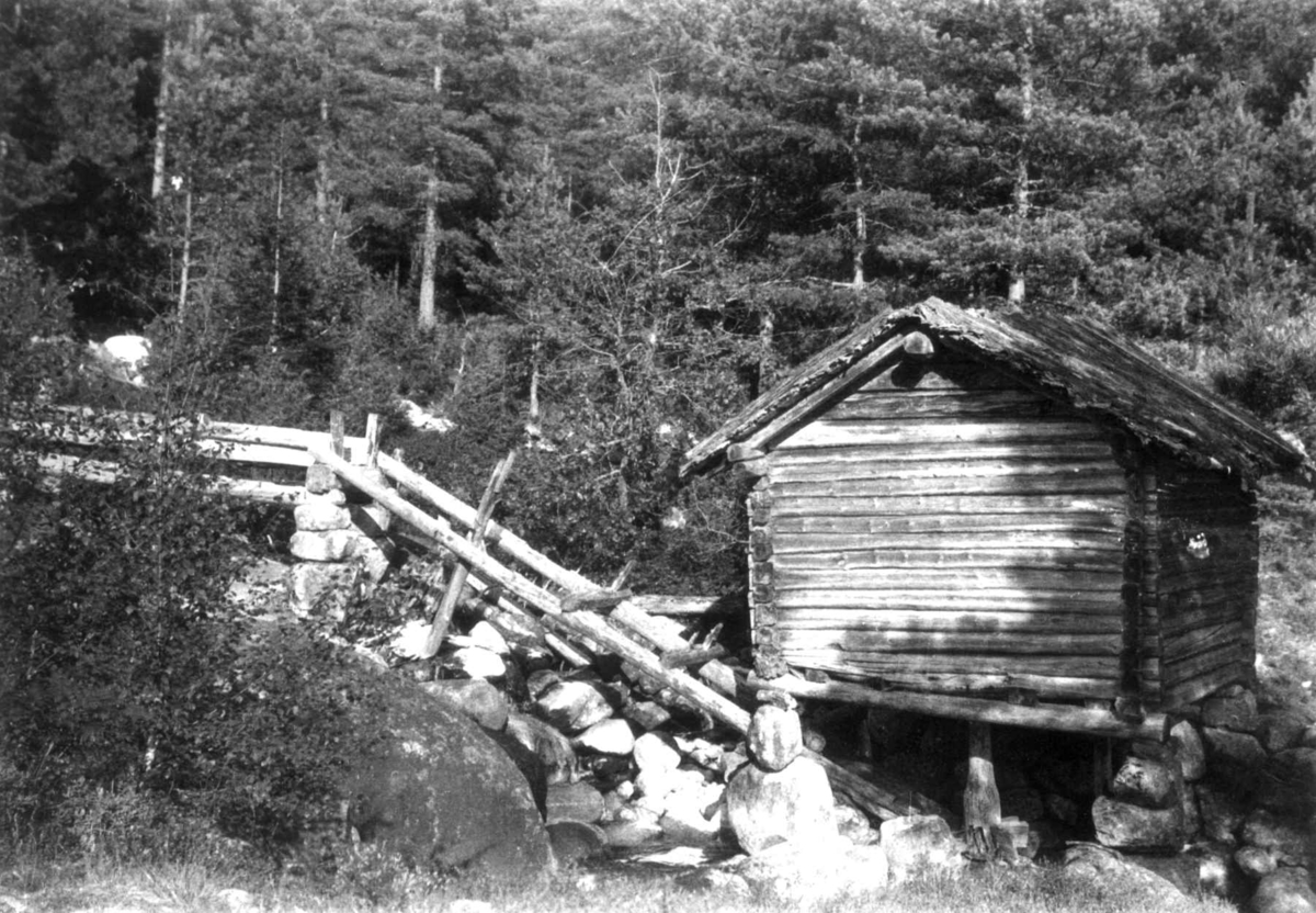 Anna Grostøl, Møllekvern i skogen sør for Austenå, Tovdal 1936.