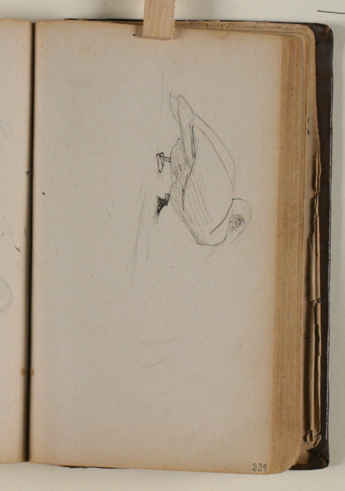 Niels Larsen Stevns, Studier af svaner