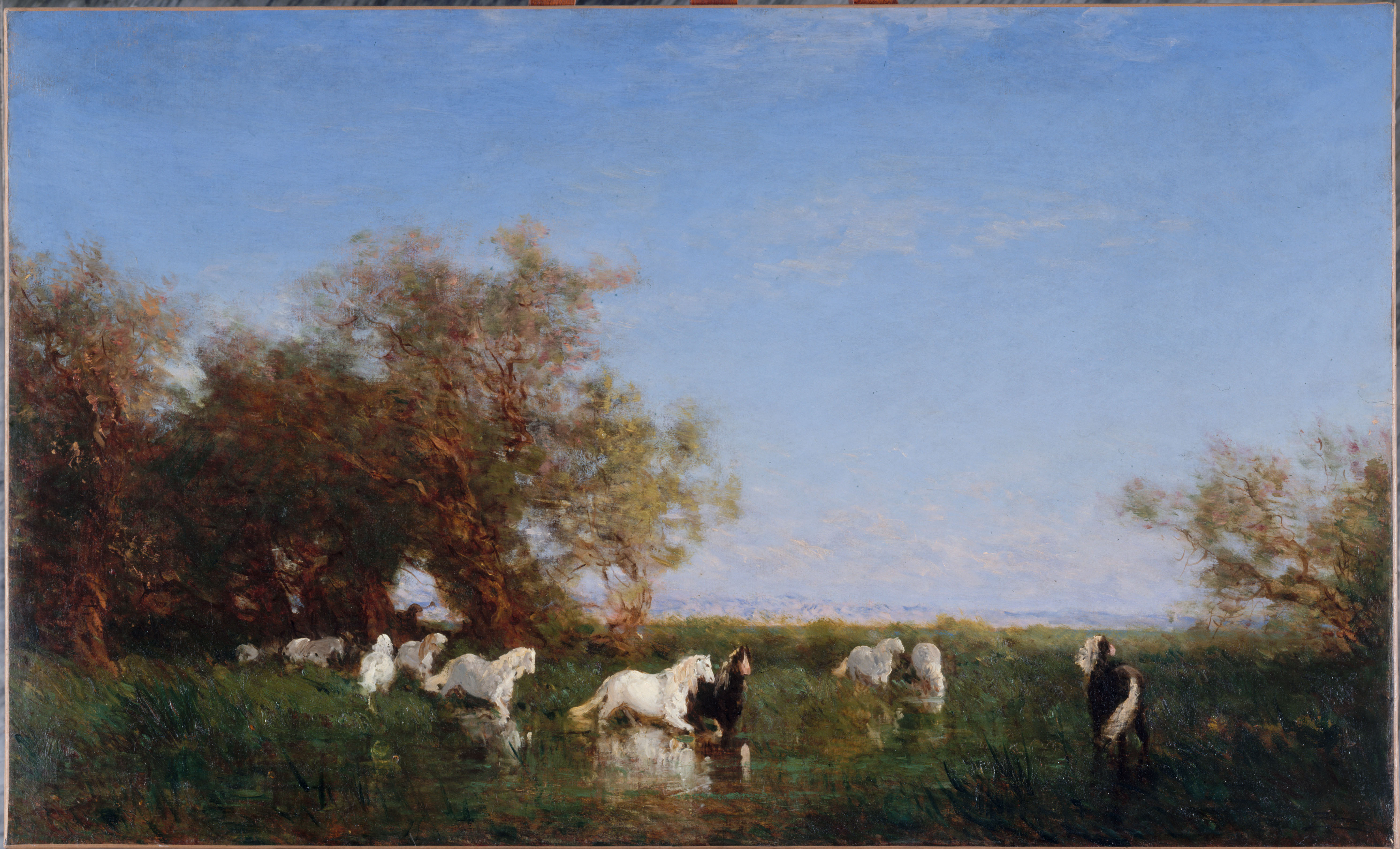 Félix Ziem, Chevaux sauvages en Camargue