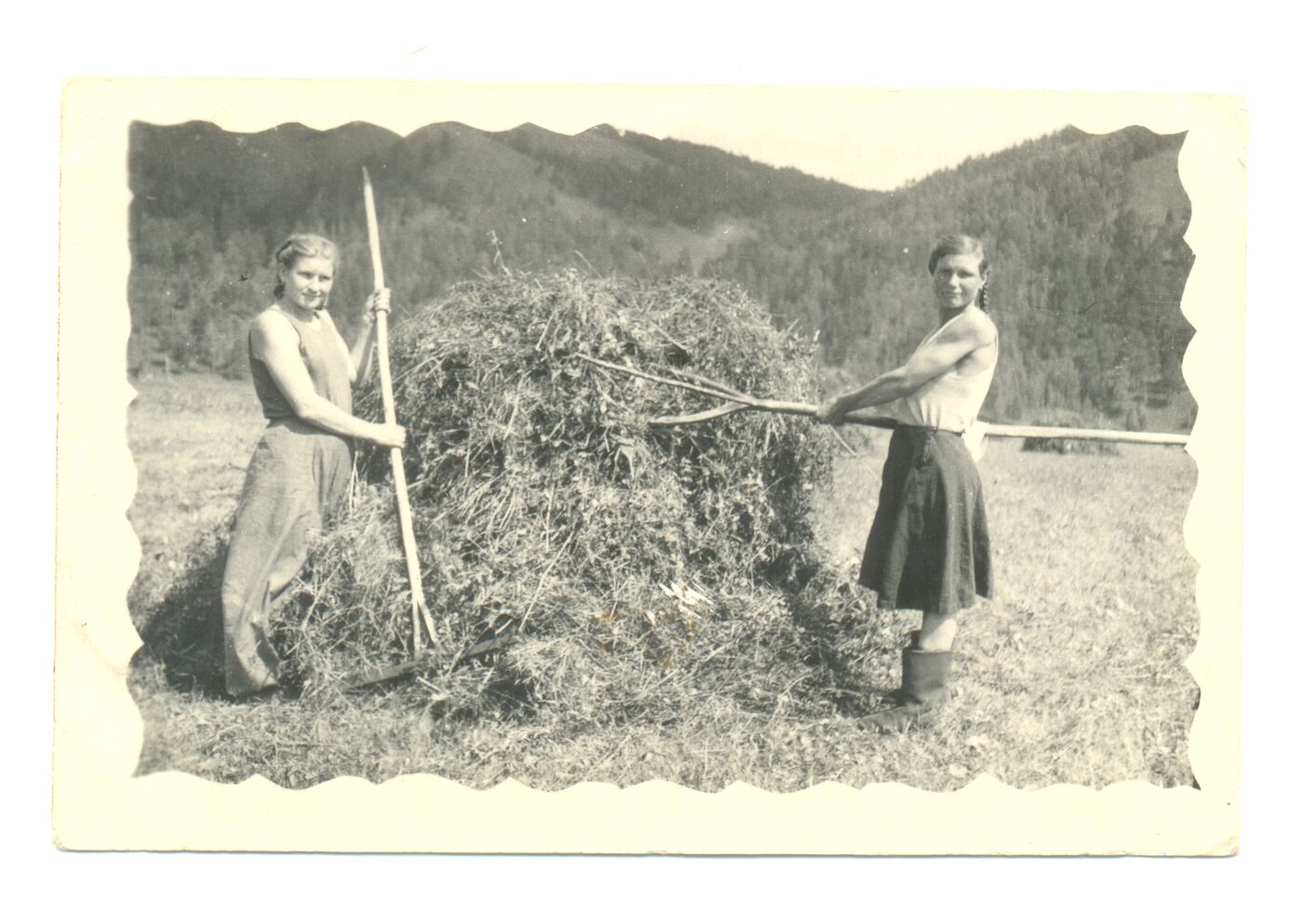Nežinomas fotografas, Šienapjūtė prie Udos upės