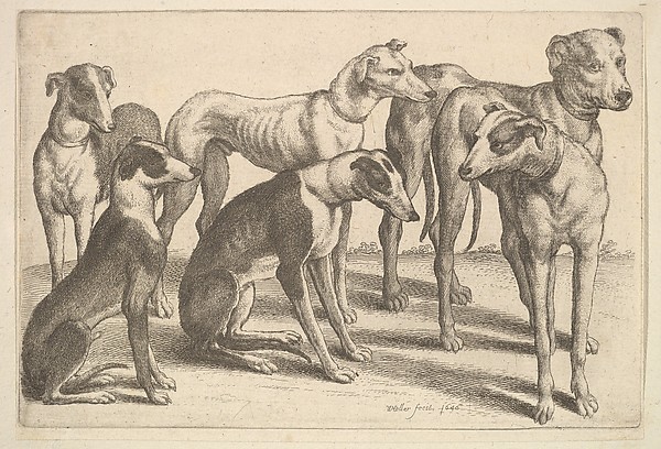 Wenceslaus Hollar, Six Hounds