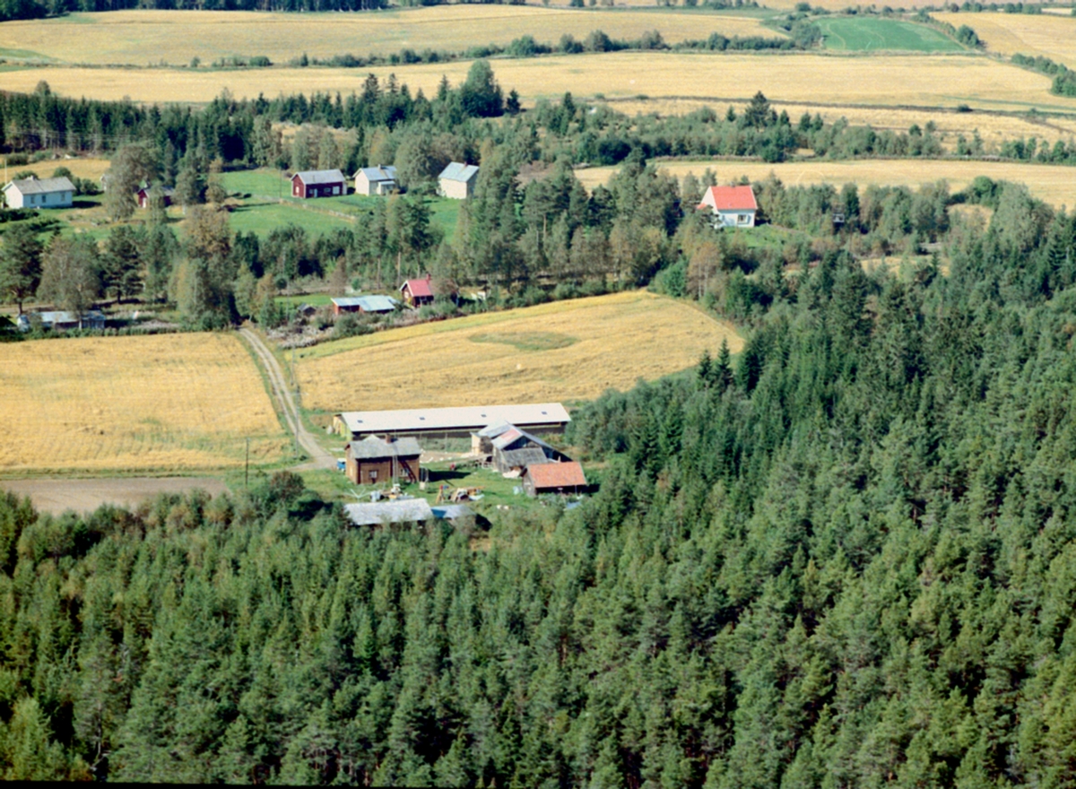 Widerøes Flyveselskap A/S, Flyfoto, Hanstad, Østroa, Løten.