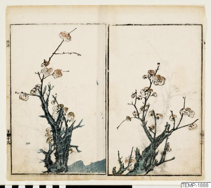 Unknown artist, Träsnitt, Bildkonst, Print, Woodblock, Woodcut