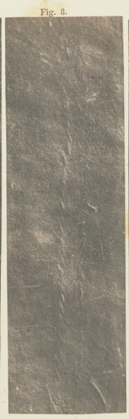 Unknown, Plate 40. Figure 3