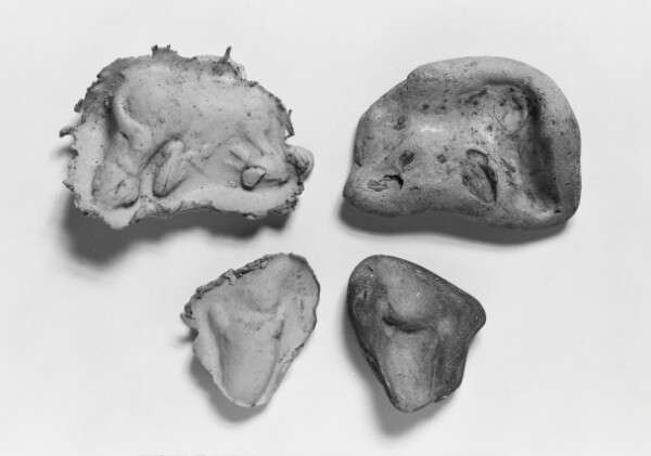 Unknown, Mold Fragment