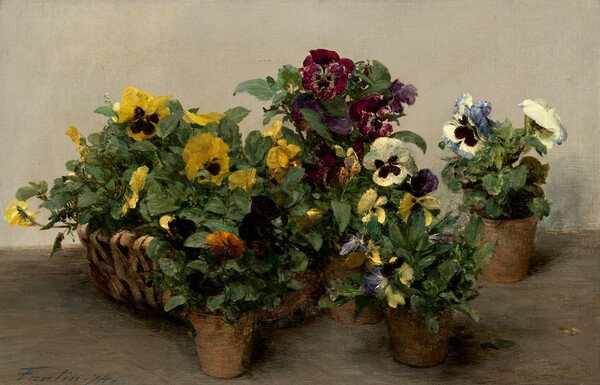 Henri Fantin-Latour, Pansies