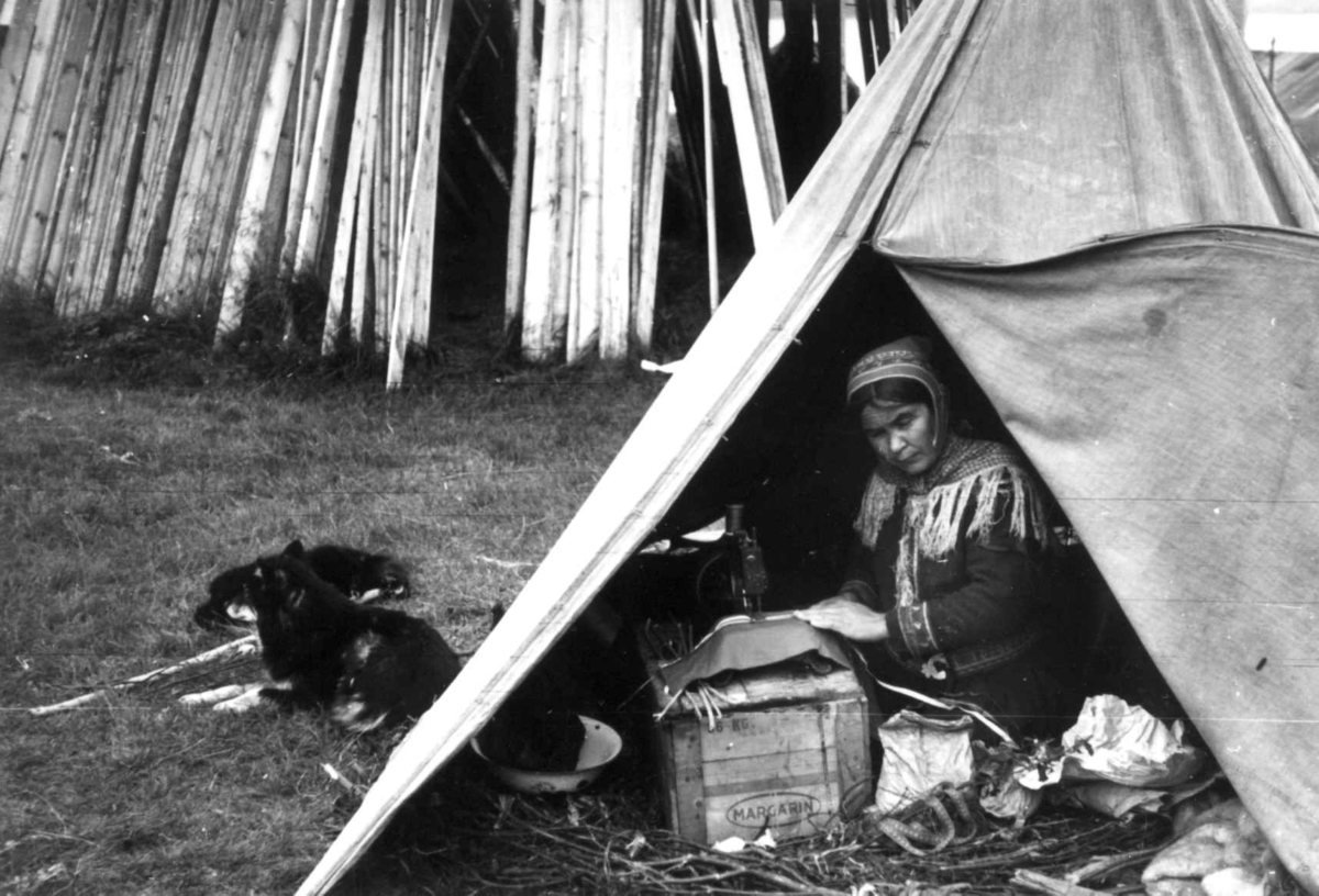 Anna Grostøl, En kvinne sitter og syr på symaskin i et telt. Utenfor teltet ligger to hunder. Olderdalen, Kåfjord, Troms 1947.