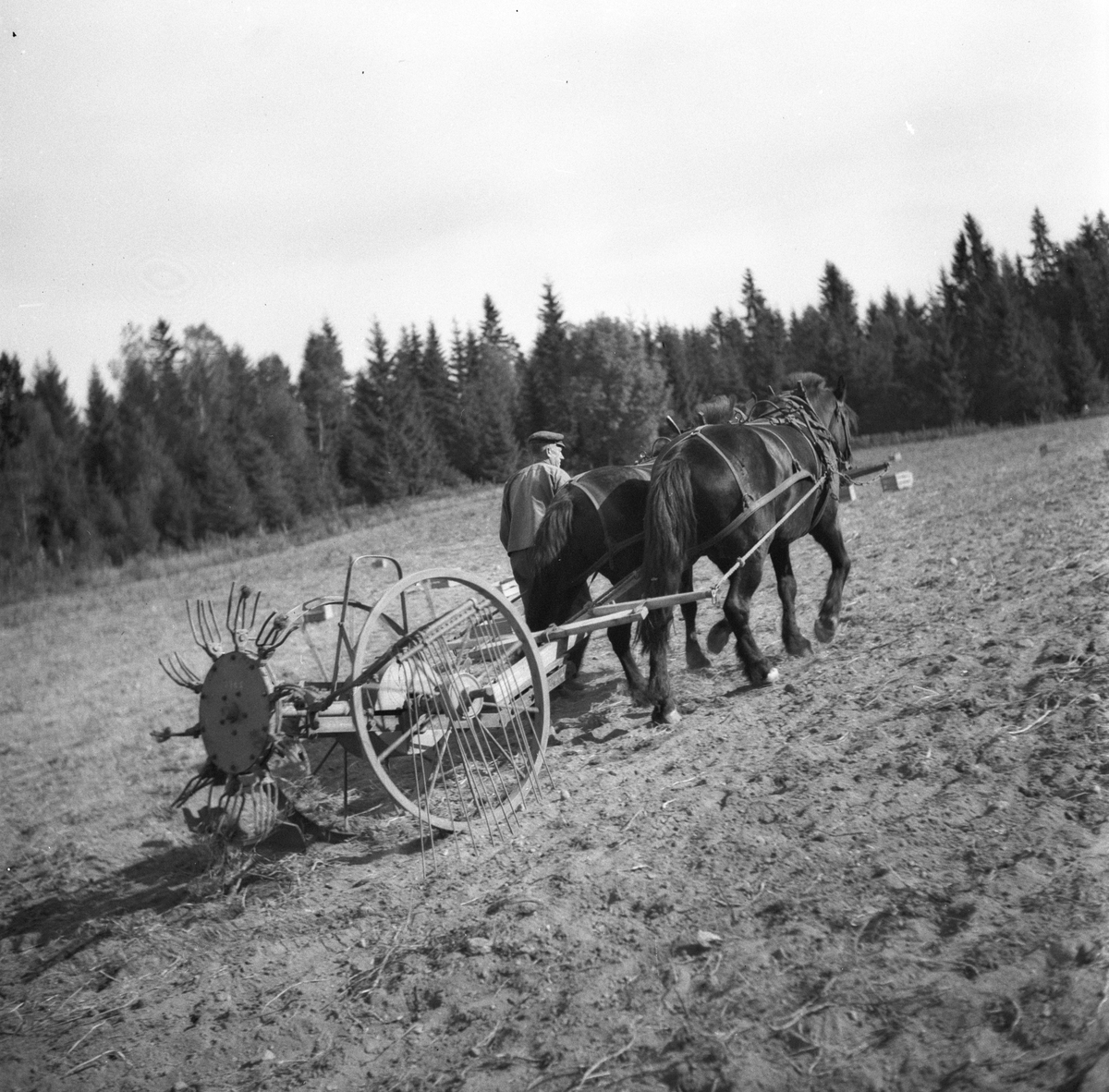 Anders Beer Wilse, Prot: Landbruksmaskin med bonde