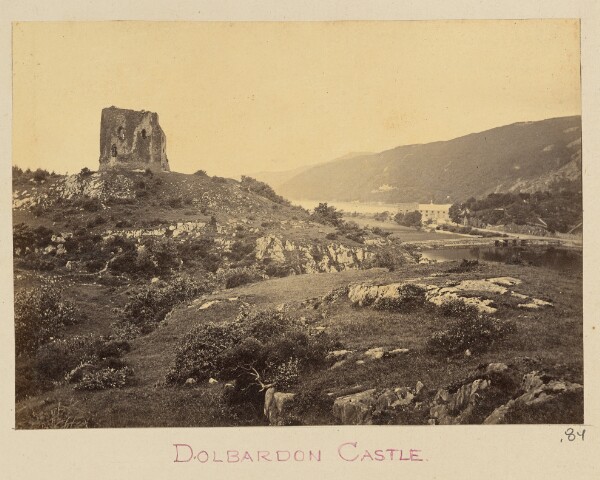 Unknown, Dolbardon Castle