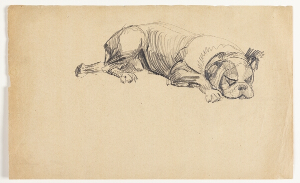 Astrid Holm, Sovende hund