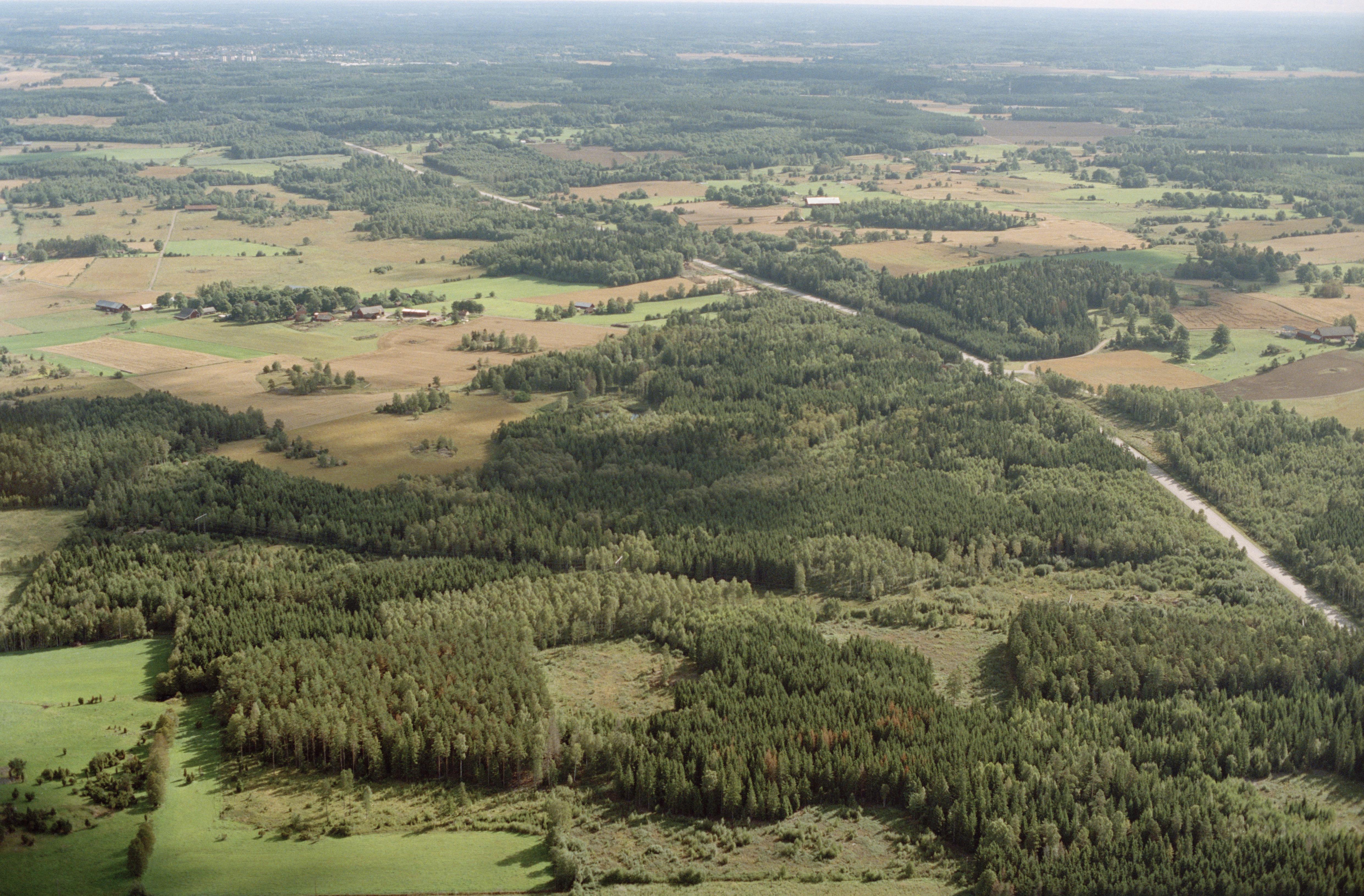Jan Norrman, Hogstad 168:1
