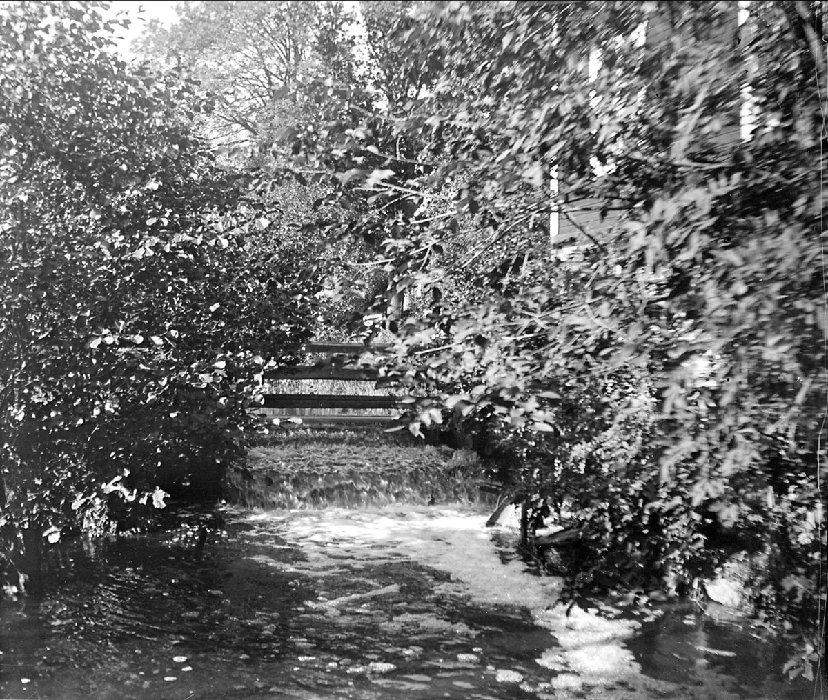 August Fredrik Schagerström, Åloppebäcken vid Åloppe, Bälinge socken, Uppland september 1936