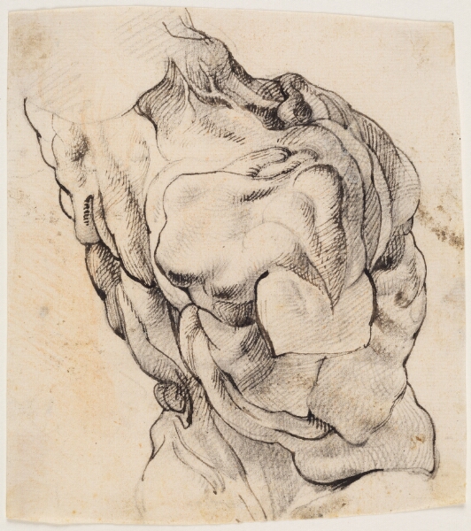 Willem Panneels, Anatomisk studie (écorché). En flået mands torso, set bagfra, halvt højredrejet
