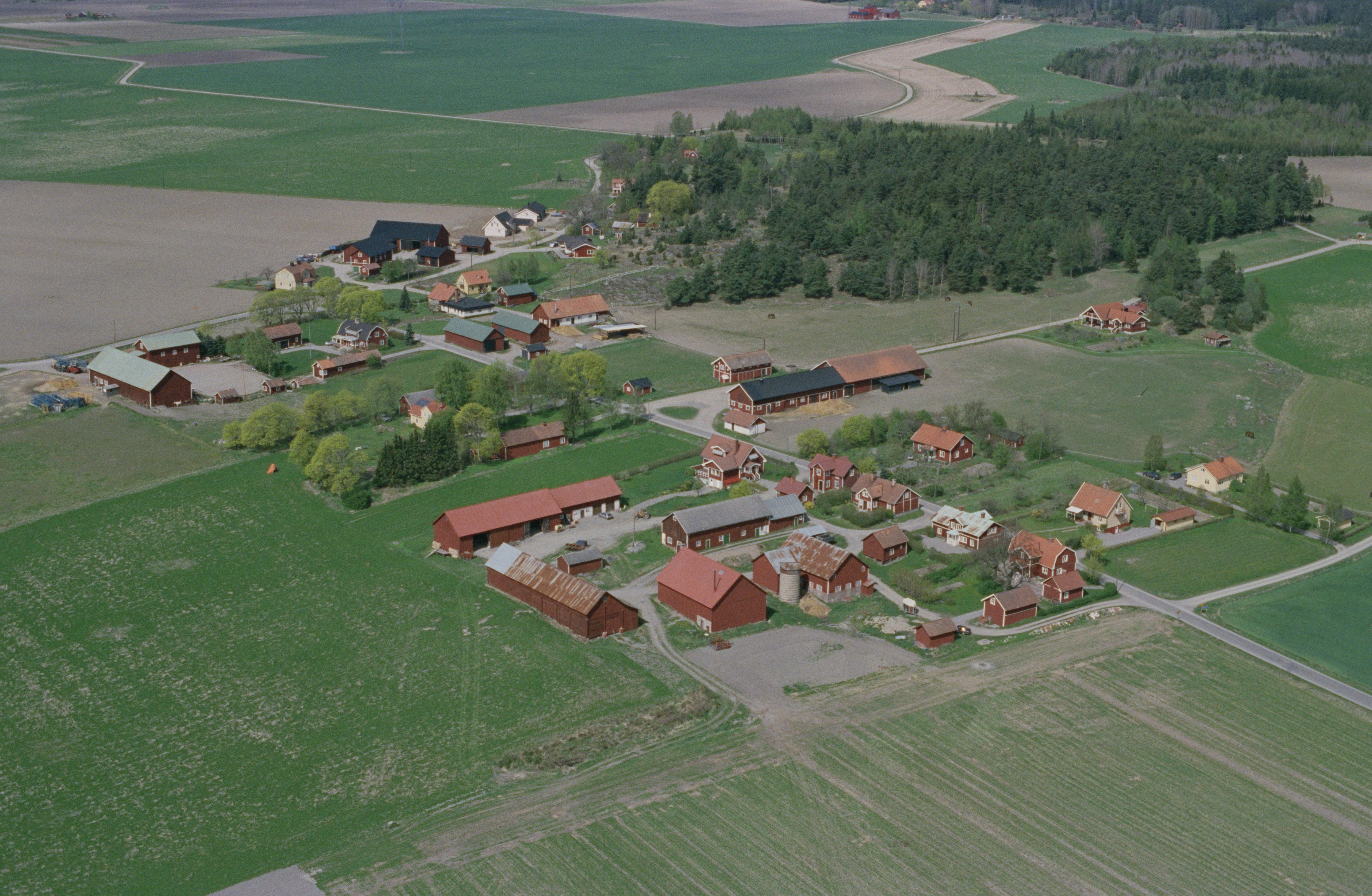 Jan Norrman, Brunnsta