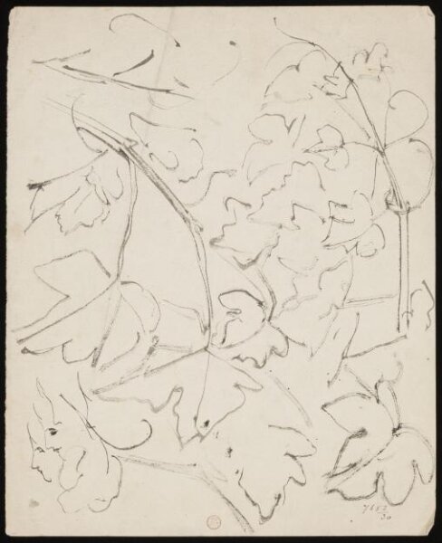 William Etty, Drawing