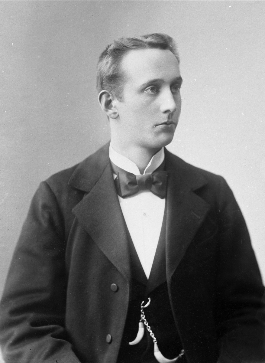 Gustav Borgen, Avfotografering.