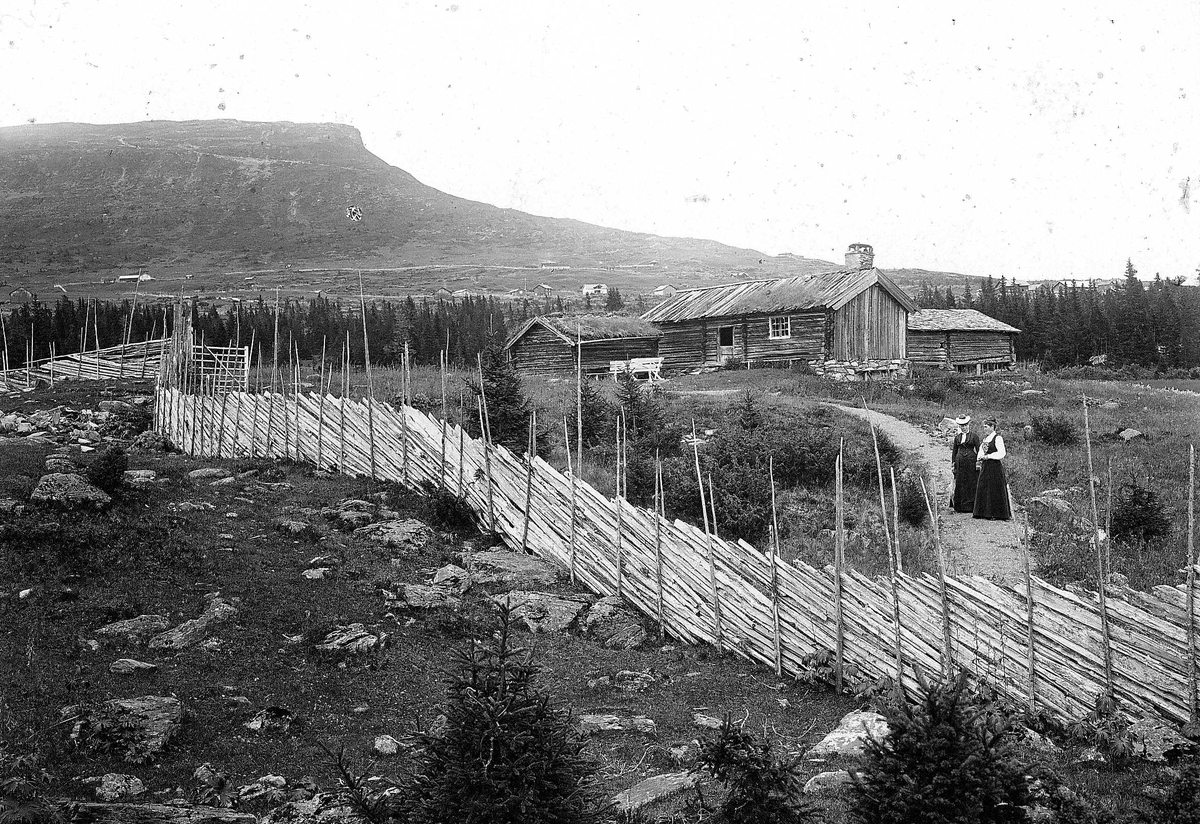 Robert Collett, Seter, antatt, med skigard i forgrunnen, ved Skeikampen, Gausdal, Oppland. Flere seterhus, To kvinner på veien. Serie tatt av Robert Collett (1842-1913), amatørfotograf og professor i zoologi.