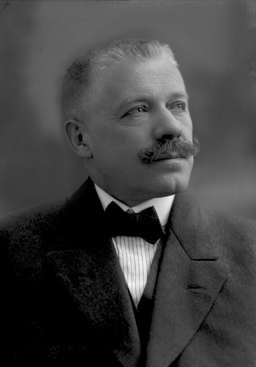 Gustav Borgen, NFB.38317