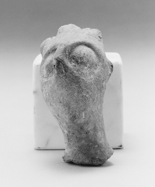 Unknown, Male Head