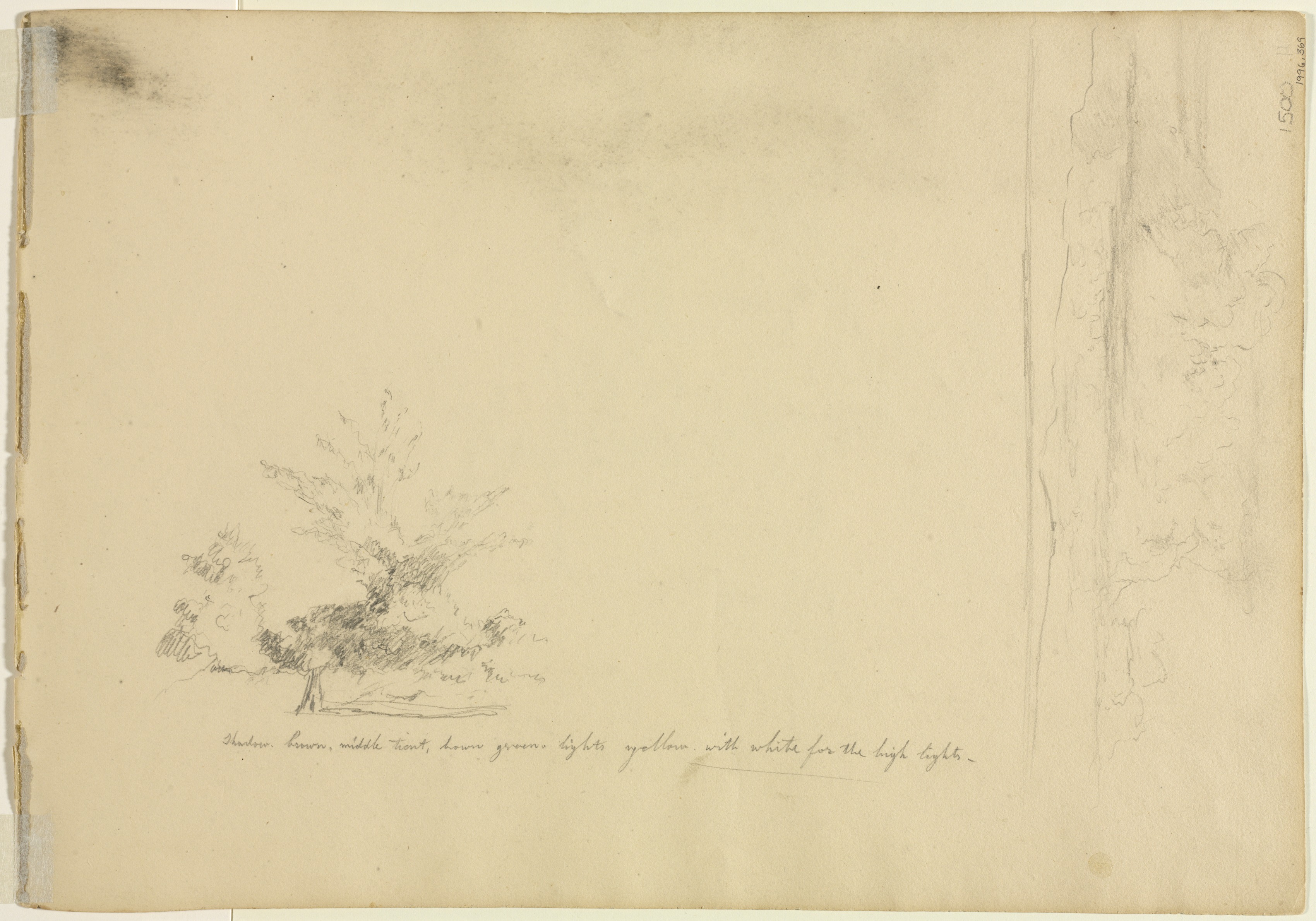 David Johnson, Landscape and Tree Studies (verso)