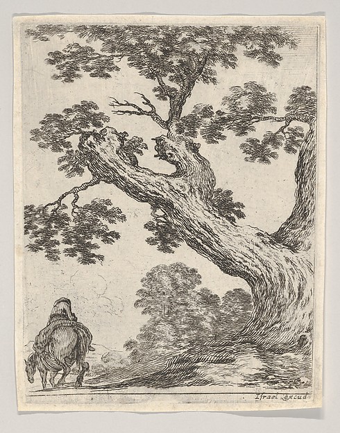 Stefano della Bella, A large tree at right, a man on horseback at left, seen from behind riding towards the left, plate 18 from "Various figures and doodles" (Diverses figures et griffonnemens)