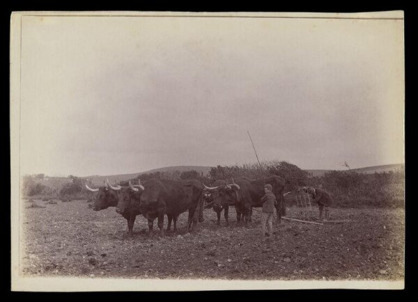 Gale, Lt. Col. Joseph, Rural Life