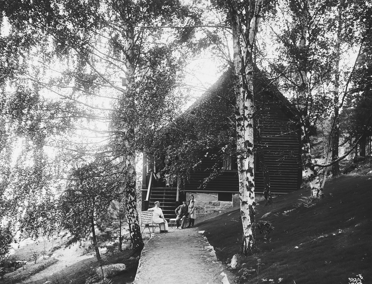 Anders Beer Wilse, Prot: Kapt. Södrings Villa. Nesodlandet