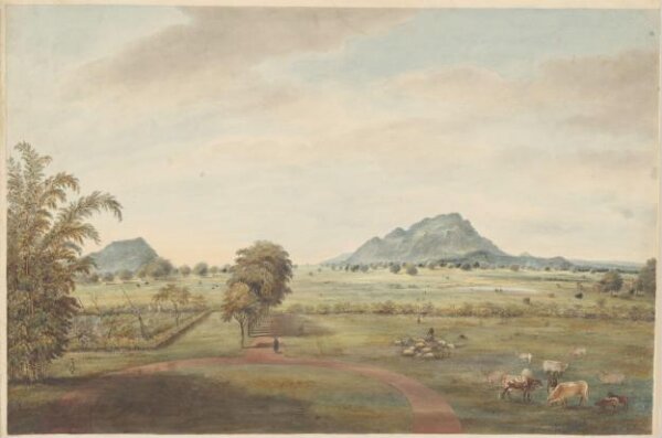 Unknown, View looking towards the hills