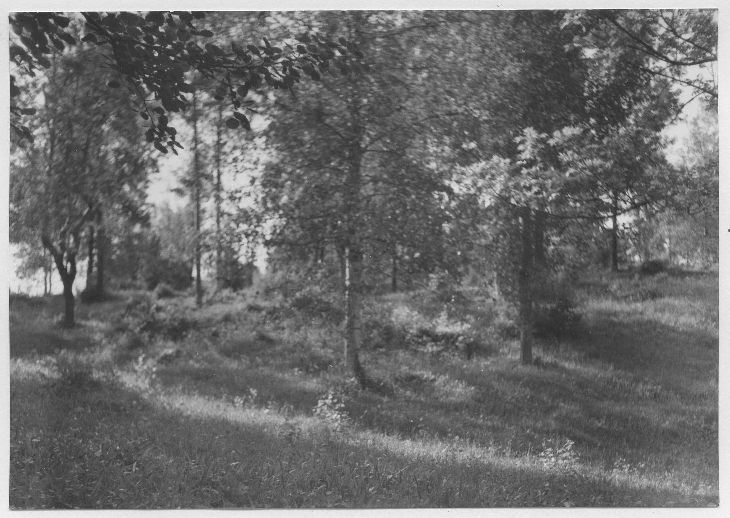 Mårten Sjöbeck, Ränsliden