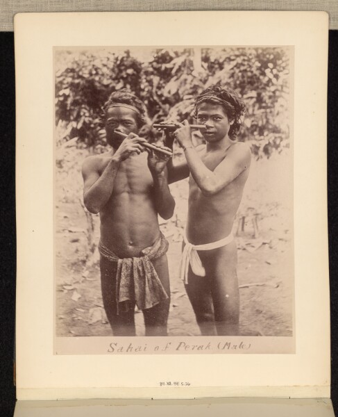 Unknown, Sahai of Perak (Male)
