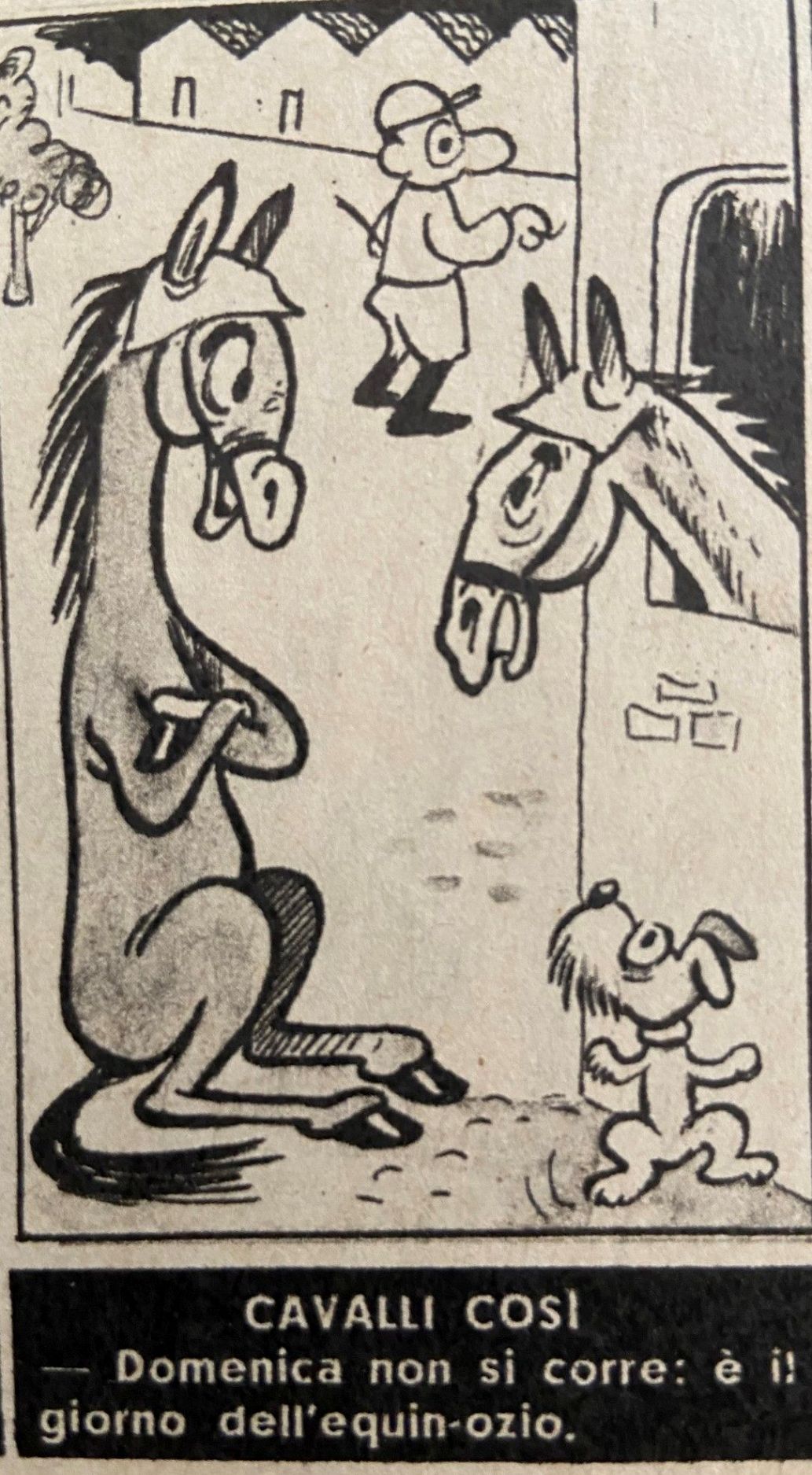 Unknown artist, Barzelletta: Cavalli così
