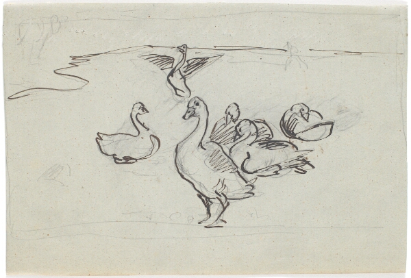 Theodor Philipsen, Studie af gæs