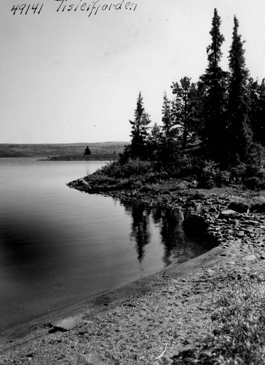 Anders Beer Wilse, Landskap, Tisleifjorden.