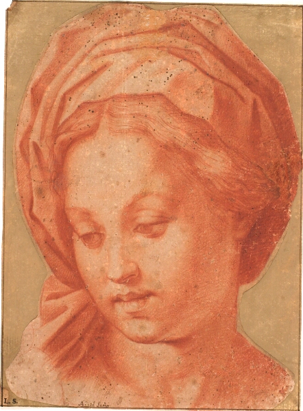 Andrea del Sarto, Borghese-Madonnaen