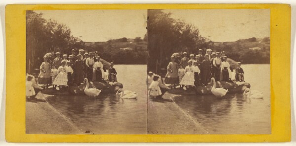 Edward and Henry T. Anthony & Co., Central Park, New York. Looking at the Swans.
