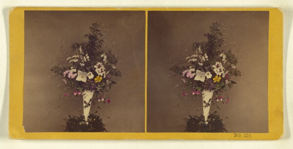 Benjamin West Kilburn, [Flower arrangement]