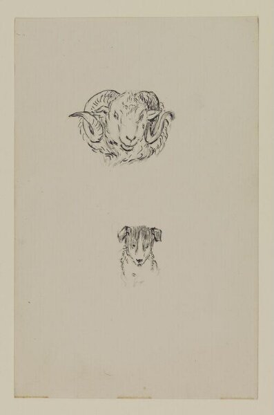 Potter, Beatrix, drawing