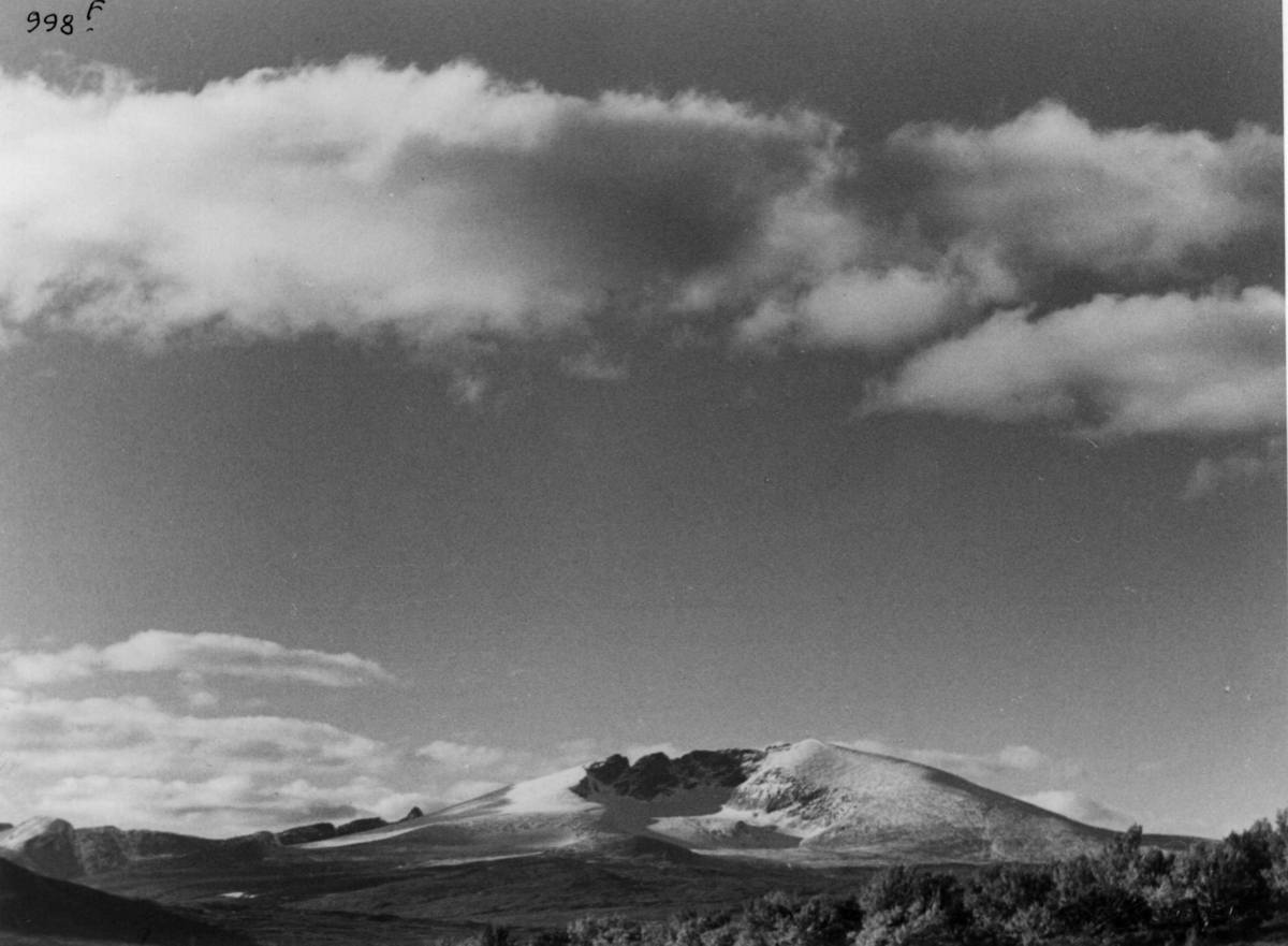 Anders Beer Wilse, Snohetta, Fjellvidde