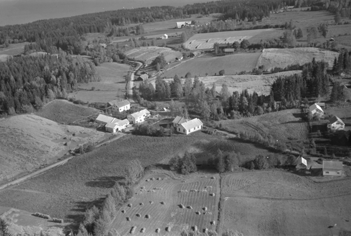 Anno Domkirkeodden, Flyfoto, Myrgård handel, Myrvang forsamlingslokale, Nes. 23. 09. 1954.