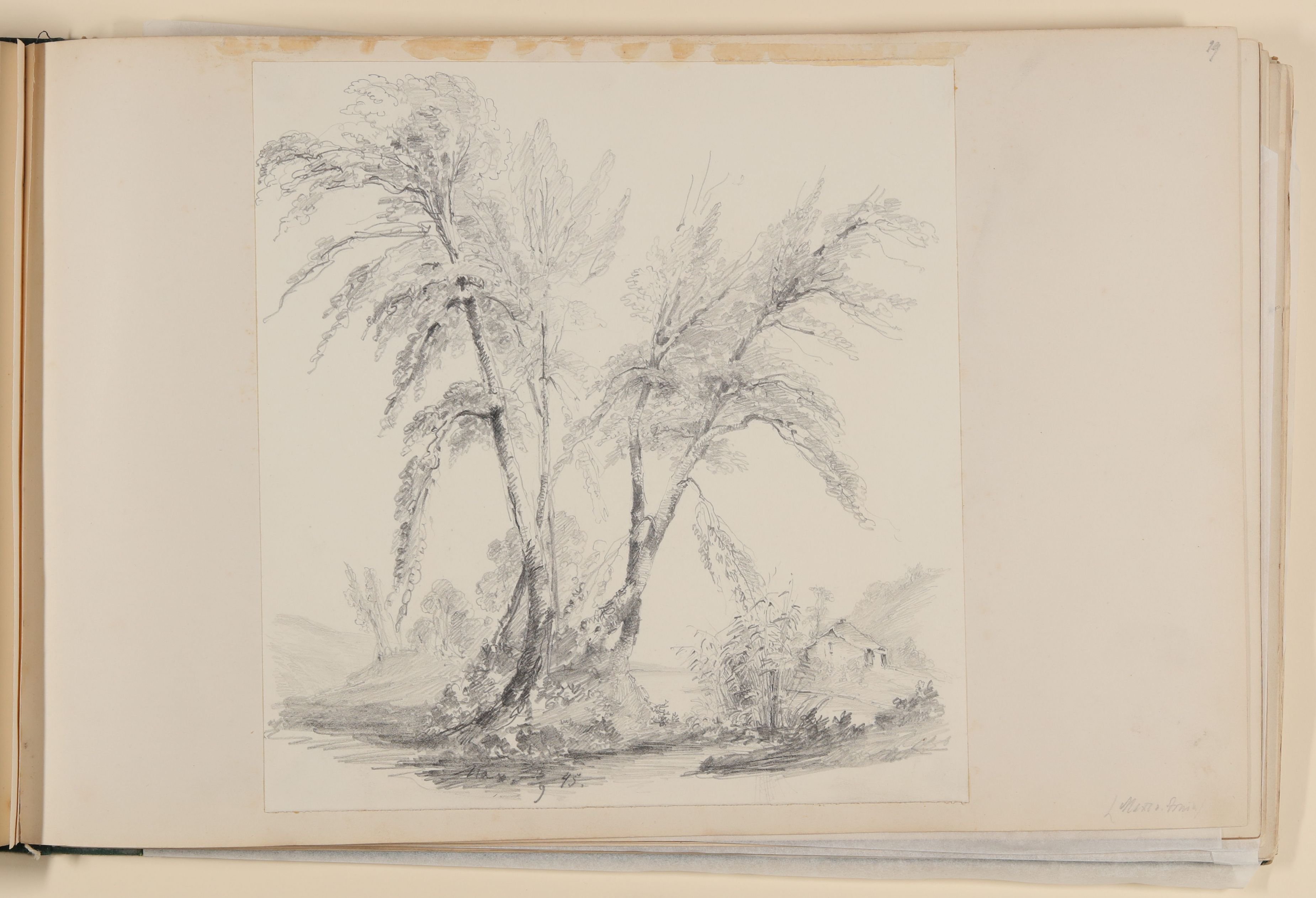 Maximiliane von Arnim, Landschaft mit Birken und einer Hütte [aus einem Album aus dem Besitz der Bettine-Töchter]
