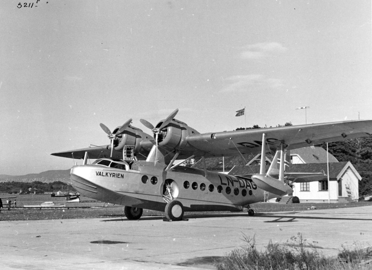 Anders Beer Wilse, Fly