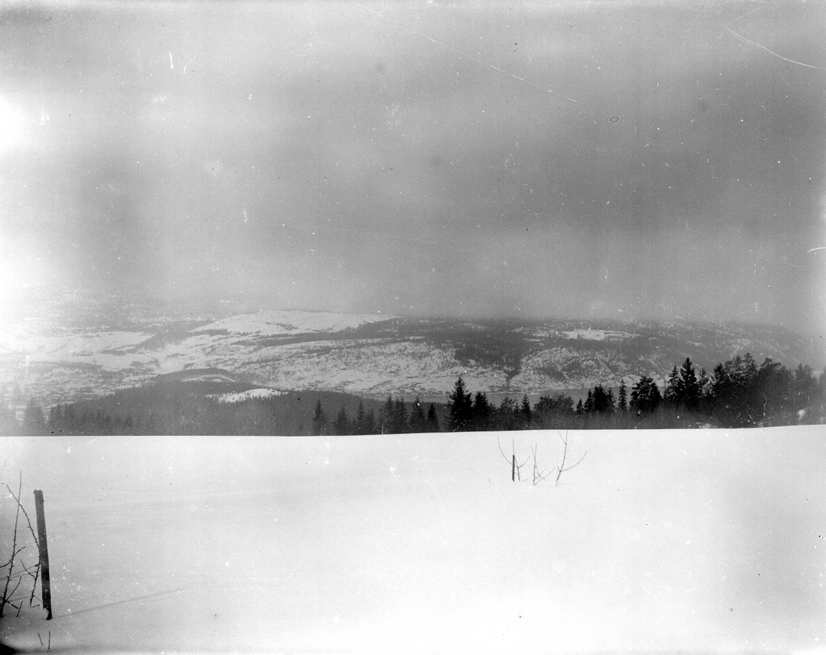 Juliane Fredrikke Langberg, Landskap, ant. i Hurum, med utsyn over skog, heier og fjord. Fotografens svoger var sokneprest i Hurum 1897-1904. Fra malerinne Juliane Fredrikke Langbergs (1856-1930) samling, tatt ca.1895-1910 med motivkrets slekt og venner samt steder tilknyttet samvær med disse.
