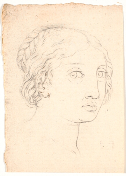Nicolai Abildgaard, Studie af kvindeansigt