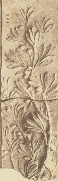 Édouard Baldus, [Detail of the Decoration of the Pavillon de Turgot, Louvre, Paris]