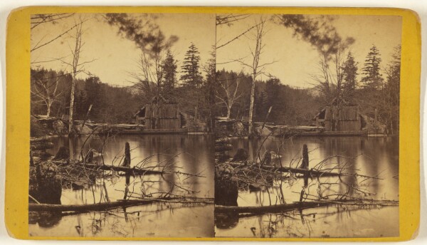 Edward and Henry T. Anthony & Co., The Mill Pond near Laurel House. - Catskill Mountains.