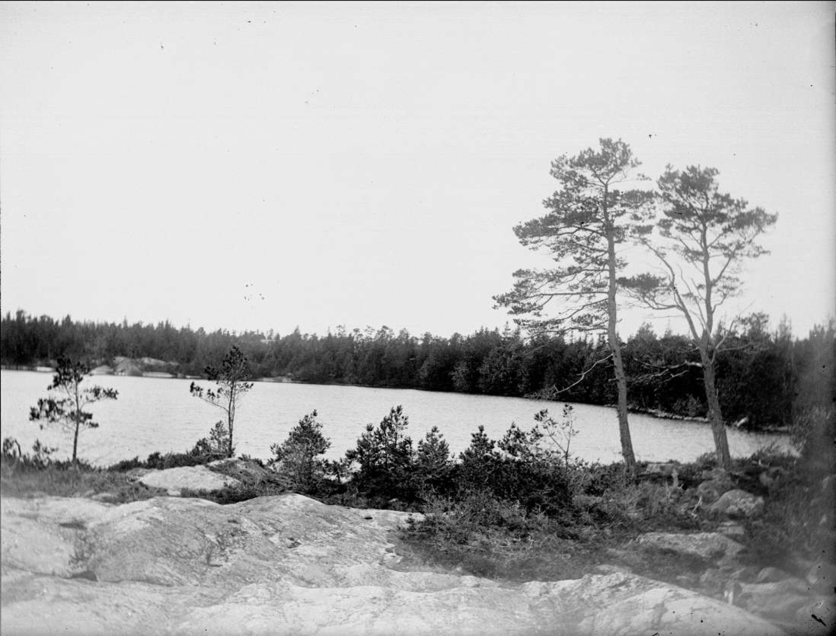 August Fredrik Schagerström, Vätö, Uppland 1904