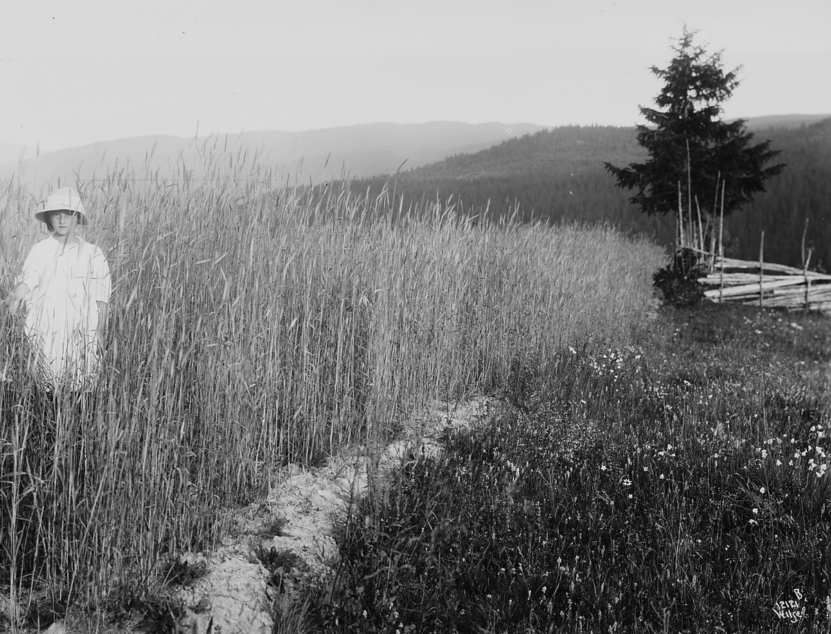 Anders Beer Wilse, Konv: Wulfsberg rugakeren