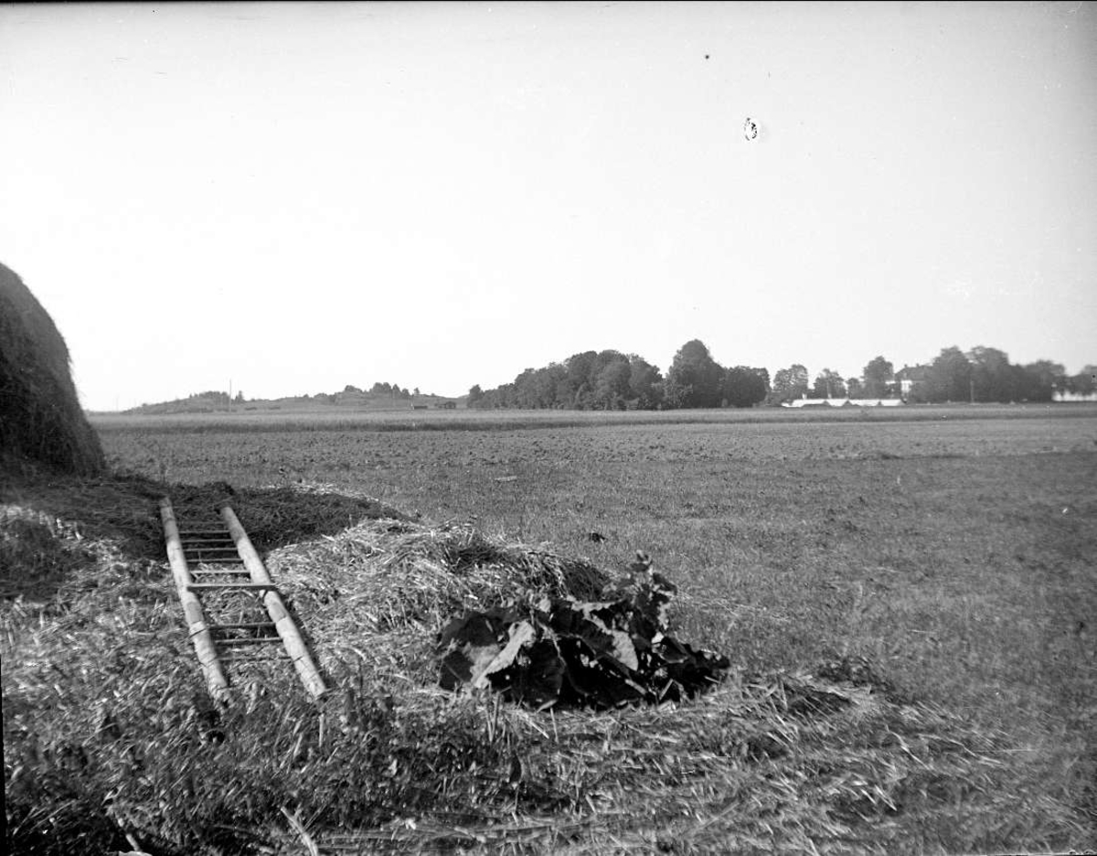 August Fredrik Schagerström, “Old Upsala, Tunaberg from Old Brick Mill” July 1922