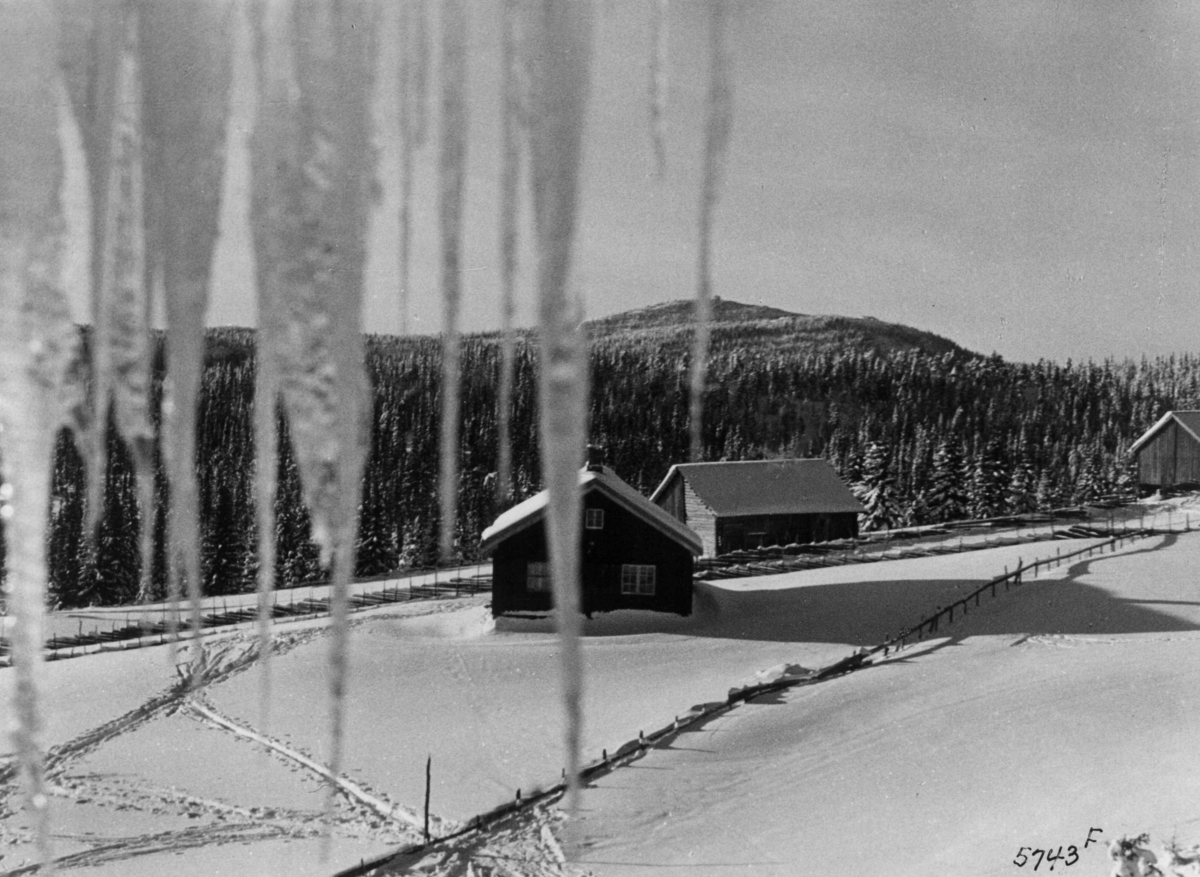 Anders Beer Wilse, Nordmarka, Bebyggelse, Sno