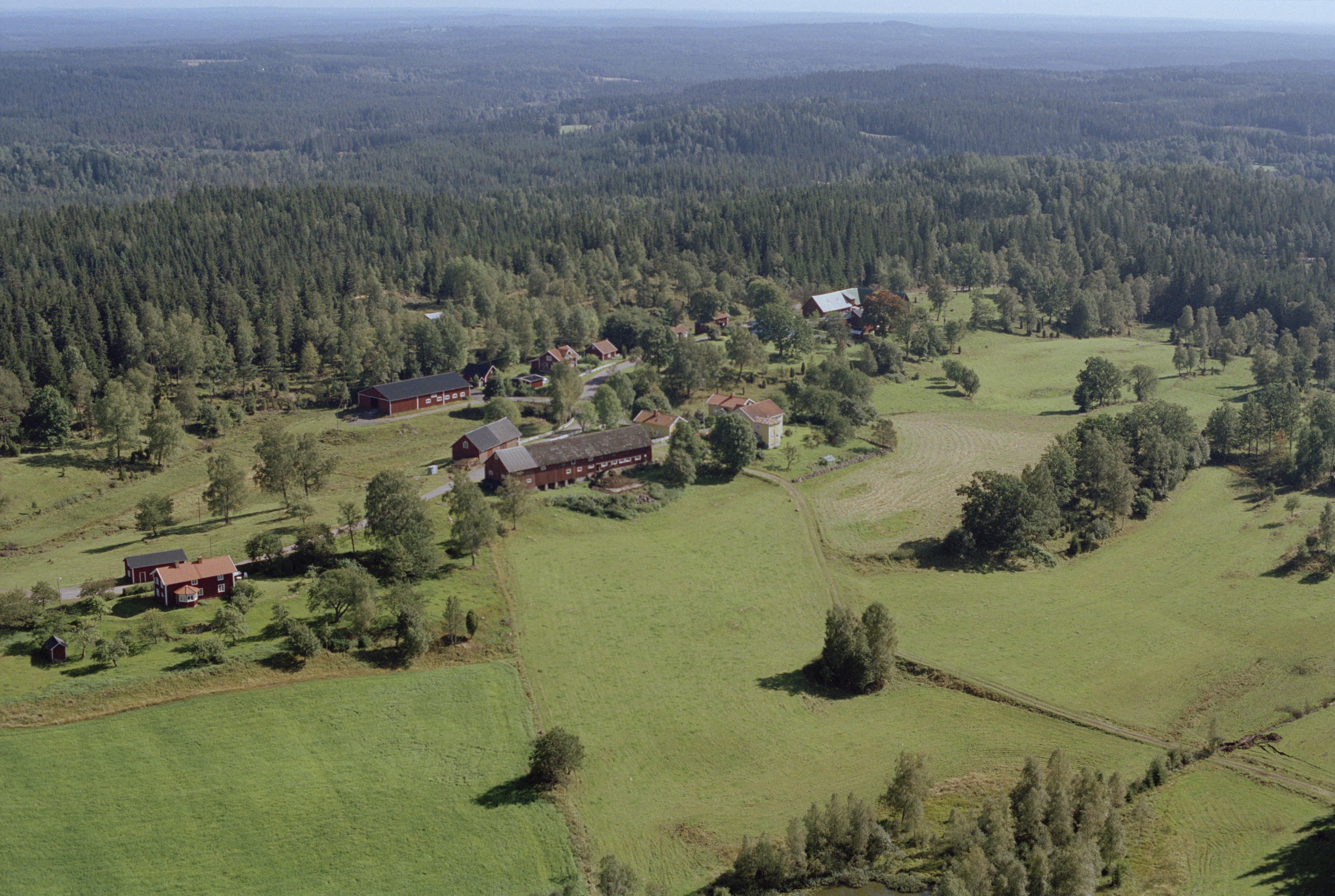 Jan Norrman, Pålskog